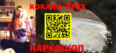 индика Новодвинск