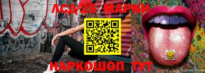 индика Новодвинск