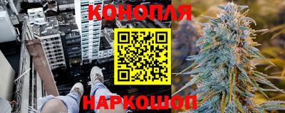 прущие крисы Нарткала