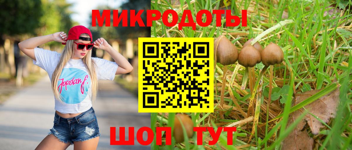 Псилоцибиновые грибы GOLDEN TEACHER Усть-Илимск