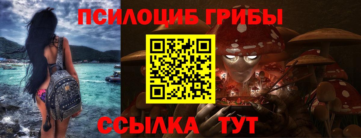 Усть-Илимск  Псилоцибиновые грибы Cubensis  Вход с VPN  Псилоцибиновые грибы MAGIC MUSHROOMS 